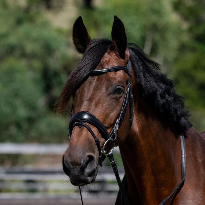 Classic Curved Leather Browband