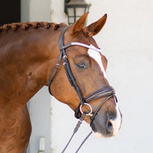 Load image into Gallery viewer, Amie Rolled Italian Leather Bridle (Hanoverian) (No reins)