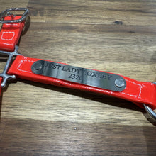 Load image into Gallery viewer, Horse Halter Nameplate