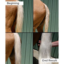 Load image into Gallery viewer, HiTone Silver