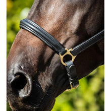 Load image into Gallery viewer, Rego Padded Leather Head Collar