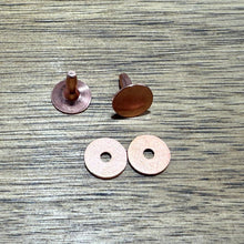 Load image into Gallery viewer, Horse Halter Nameplate