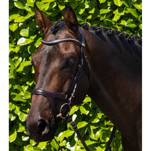 Load image into Gallery viewer, San Paolo Anatomical Bridle (No reins)