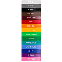 Load image into Gallery viewer, Custom PVC Halter with Engraved Horse Nameplate