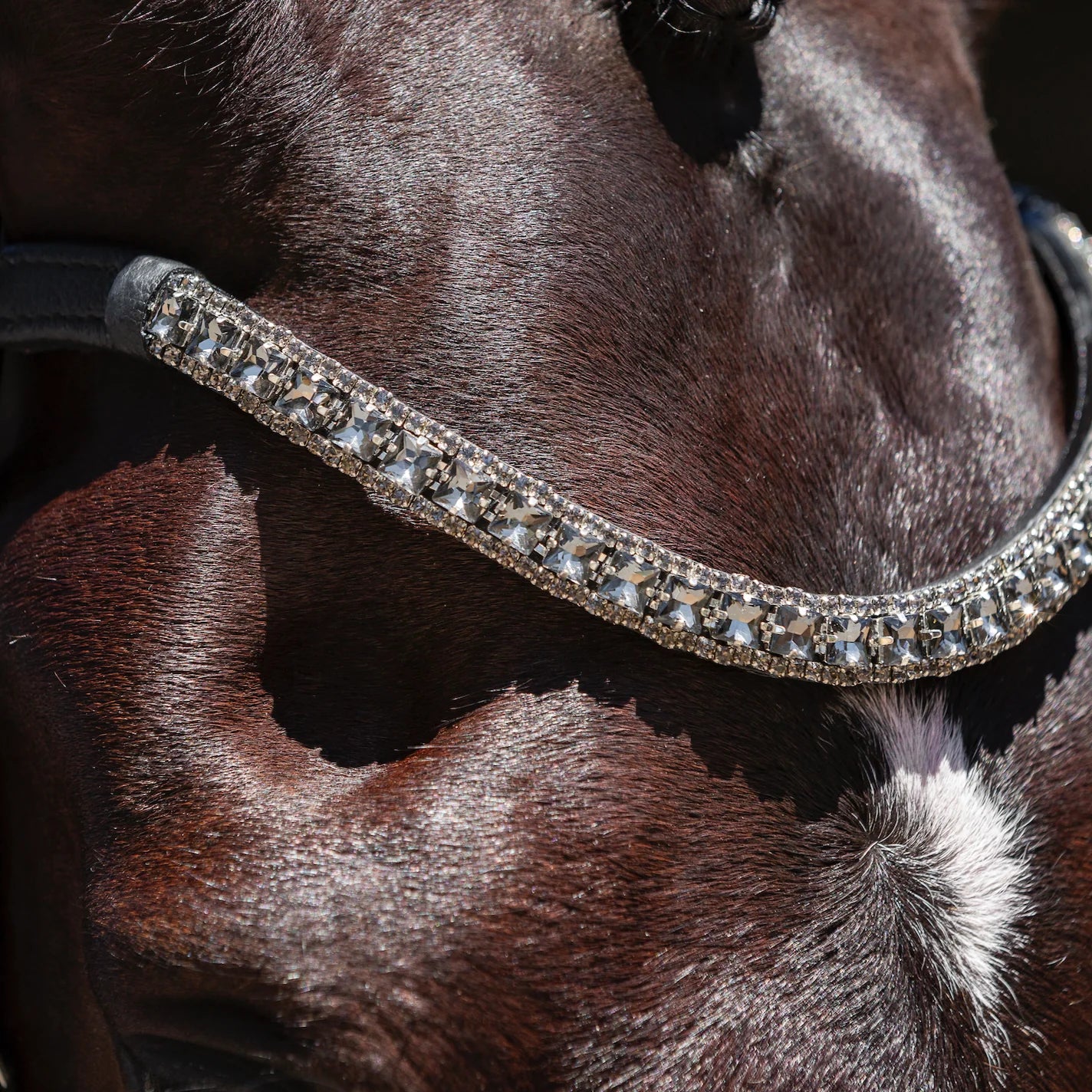 Storm Crystal Browband - Cob Size