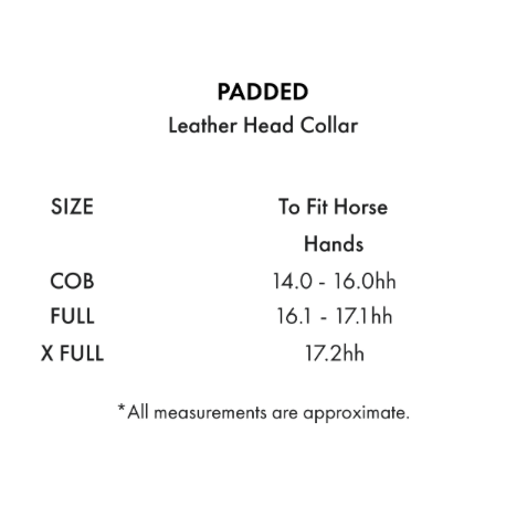 Rego Padded Leather Head Collar