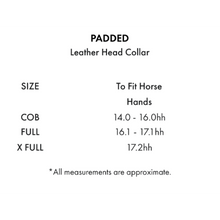 Load image into Gallery viewer, Rego Padded Leather Head Collar