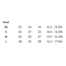 Load image into Gallery viewer, Air Cooled Original Eventing Boots - Hind