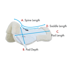 Load image into Gallery viewer, Airtechnology Shockproof Wool Saddle Pad - Half Pad