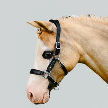 Load image into Gallery viewer, Vegas Leather Halter