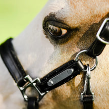 Load image into Gallery viewer, Vegas Leather Halter