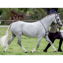 Load image into Gallery viewer, Showsilk Mighty Bright - 500ml