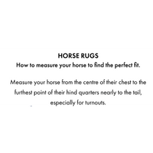 Load image into Gallery viewer, Buster Sweet Itch Fly Rug with Surcingles