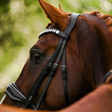 Load image into Gallery viewer, Diva (Double) (No reins)