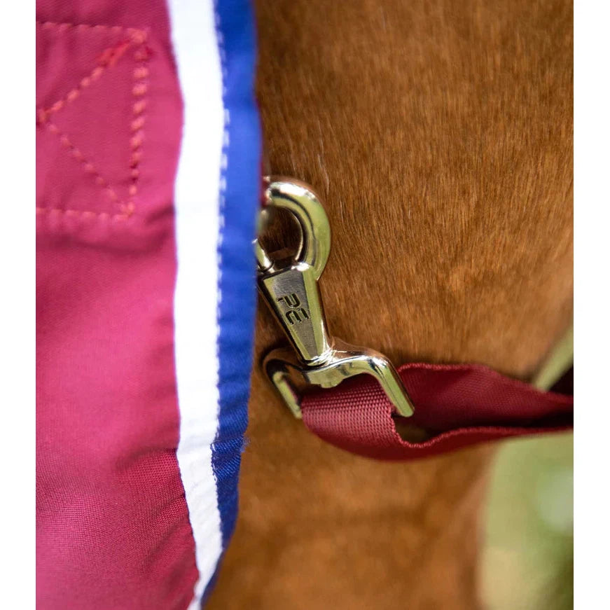 Stratus Horse Stable Sheet