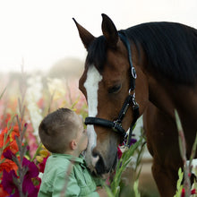 Load image into Gallery viewer, Alize Leather Halter