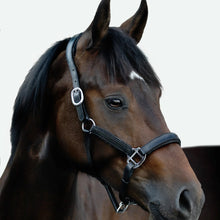 Load image into Gallery viewer, Vegas Leather Halter