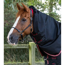Load image into Gallery viewer, Titan 100g Turnout Rug with Snug-Fit Neck Cover