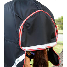 Load image into Gallery viewer, Titan 100g Turnout Rug with Snug-Fit Neck Cover
