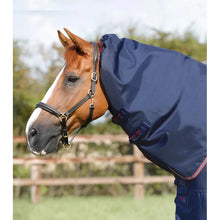 Load image into Gallery viewer, Titan 100g Turnout Rug with Snug-Fit Neck Cover