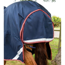 Load image into Gallery viewer, Titan 100g Turnout Rug with Snug-Fit Neck Cover