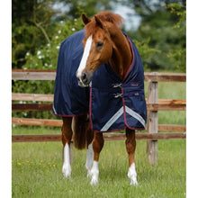 Load image into Gallery viewer, Titan 200g Original Turnout Rug
