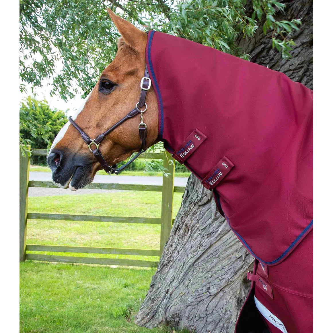 Titan 50g Turnout Rug With Classic Neck Cover Tacklet titan-50g-turnout-rug-with-classic-neck-cover-tacklet