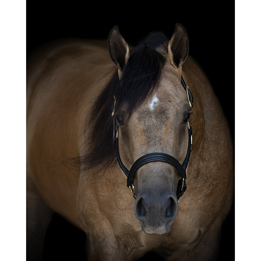1" Leather Turnout Halter