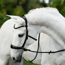 Load image into Gallery viewer, Skyla Bitless Bridle (No reins)