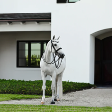 Load image into Gallery viewer, Saphira Bridle (Double) (No reins)