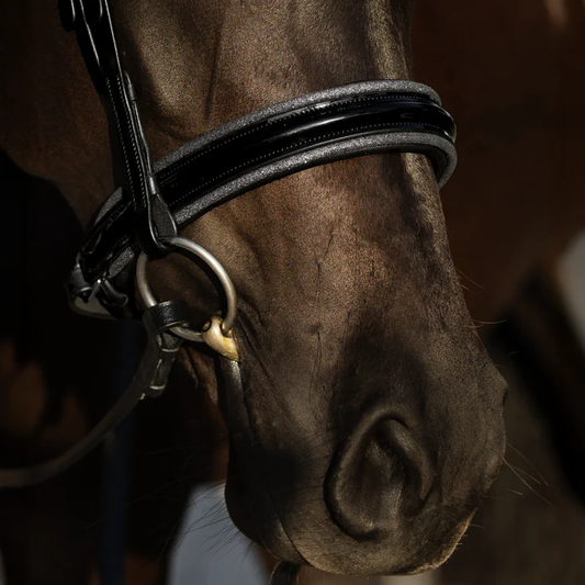 Saphira Bridle (Cavesson) (No reins)