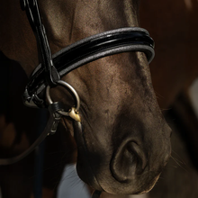 Load image into Gallery viewer, Saphira Bridle (Cavesson) (No reins)