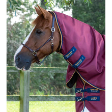 Load image into Gallery viewer, Akoni 0g Turnout Rug with Classic Neck Cover