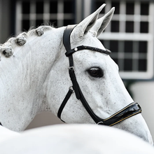 Load image into Gallery viewer, Skyla Bitless Bridle (No reins)