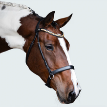 Load image into Gallery viewer, Seline Bitless Bridle (No reins)