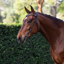 Load image into Gallery viewer, Sienna Nosebandless Bridle (No reins)