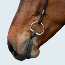 Load image into Gallery viewer, Sienna Nosebandless Bridle (No reins)