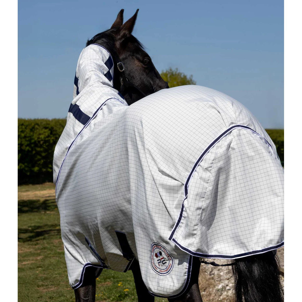 Cotone Stable Sheet with Neck Cover