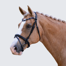Load image into Gallery viewer, Demi Bridle (Hanoverian) (No reins)