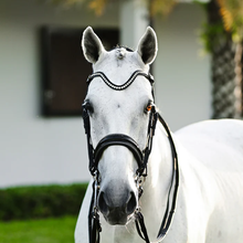 Load image into Gallery viewer, Saphira Bridle (Double) (No reins)