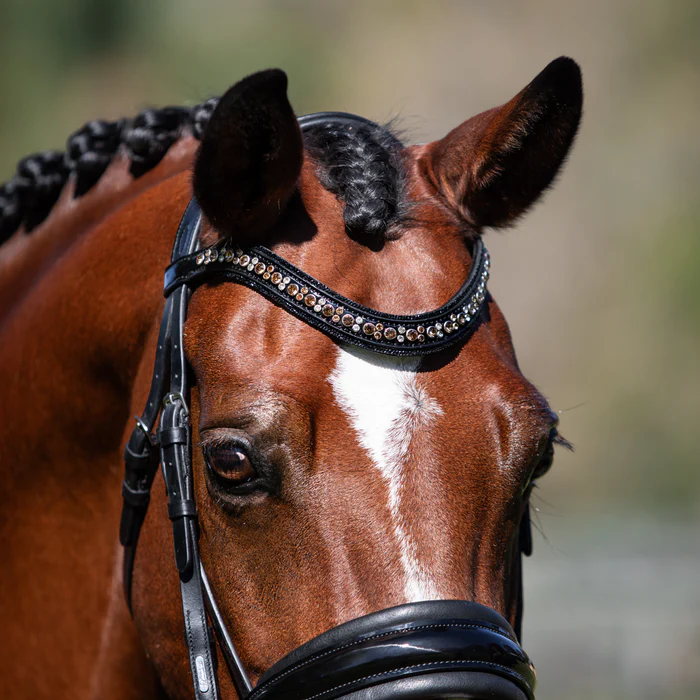 Ariana Bridle (Cavesson) (No reins)