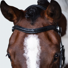 Load image into Gallery viewer, Sansa Nosebandless Bridle (No reins)