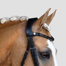 Load image into Gallery viewer, Audrey Rolled Leather Bridle (Hanoverian) (No reins)