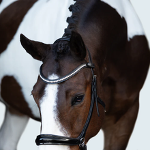 Load image into Gallery viewer, Symphony Bitless Bridle (No reins)