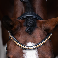 Load image into Gallery viewer, Seline Bitless Bridle (No reins)