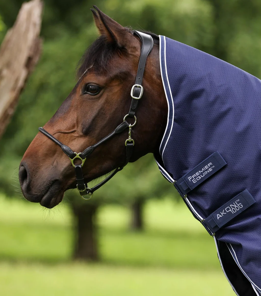 Akoni 100g Turnout Rug with Classic Neck Cover