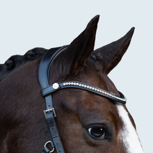 Load image into Gallery viewer, Symphony Bitless Bridle (No reins)