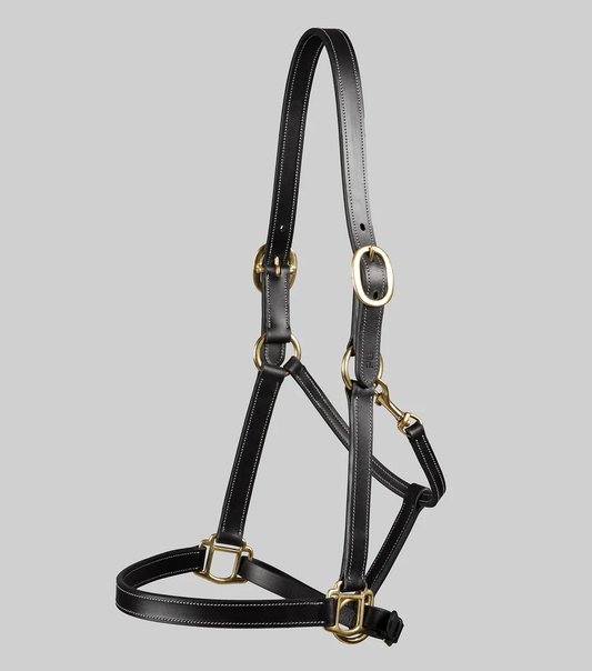 Traditional Leather Headcollar