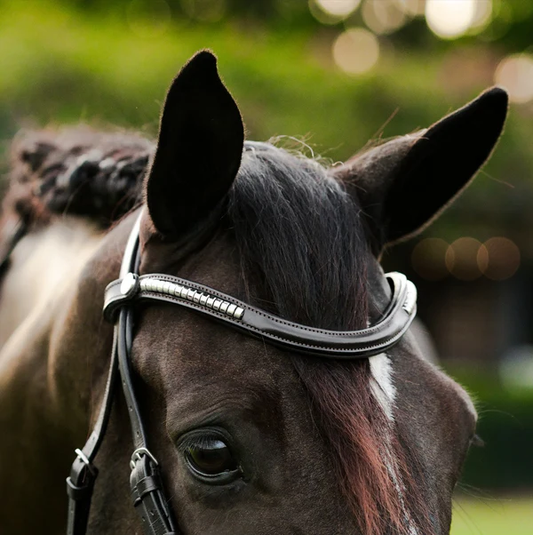 Perseus Bridle (Convertible) (No reins)