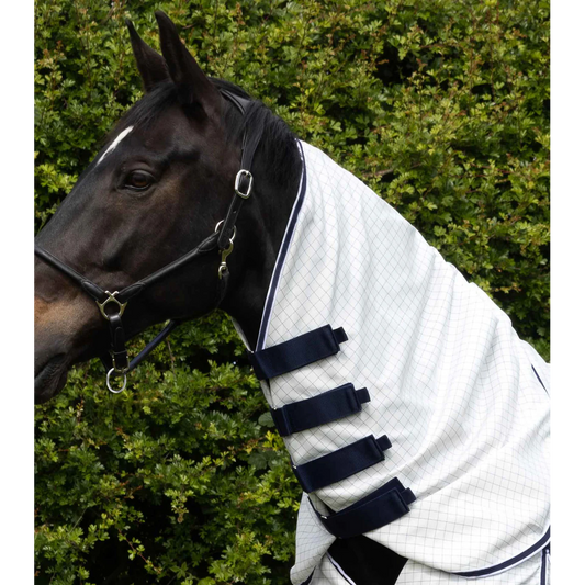 Cotone Combo Stable Sheet